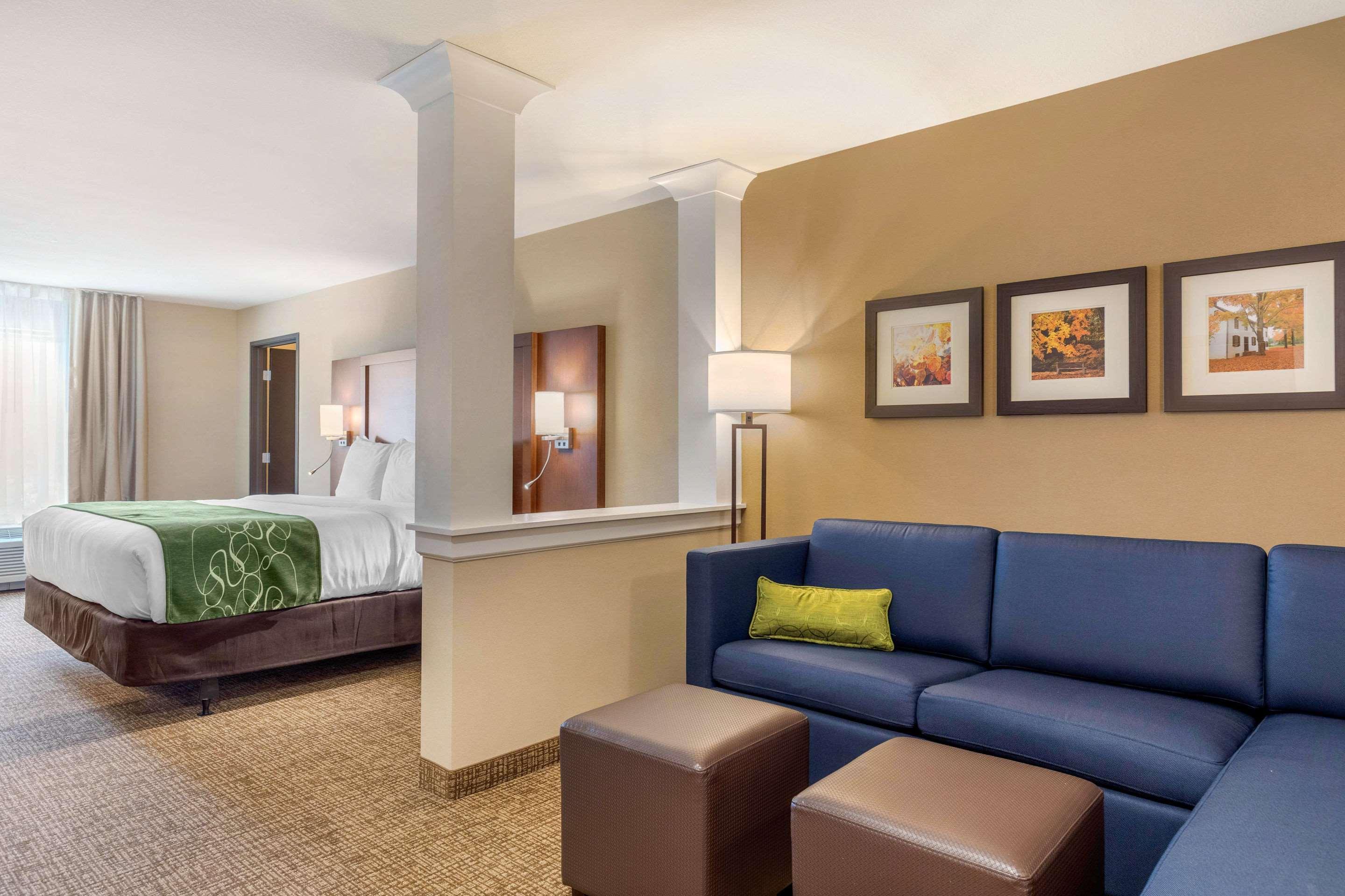 Comfort Inn & Suites Schenectady - Scotia Exterior foto