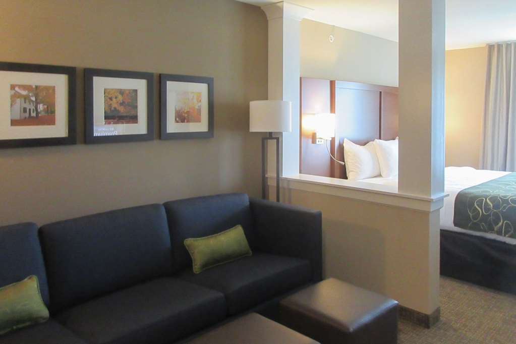 Comfort Inn & Suites Schenectady - Scotia Quarto foto